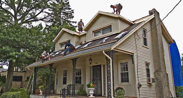 Best Roof Leak Repair  in Pelahatchie, MS